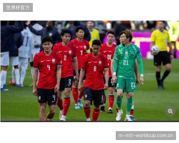 韩国队需警惕世界杯小组赛的未知对手，南非队战术风格成谜。
